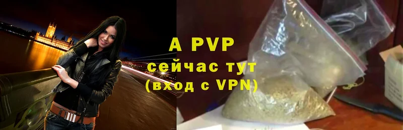 цена   Черноголовка  APVP VHQ 