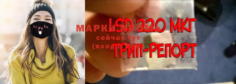 Марки N-bome 1500мкг  Черноголовка 